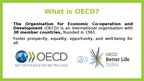 Presentations 'OECD Better life index', 2.