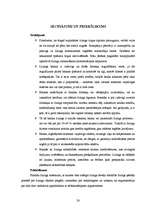 Research Papers 'Līzings un tā attīstības problēmas Latvijas tirgū', 28.