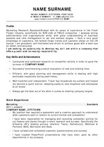 Summaries, Notes 'Original Curriculum Vitae for a Marketing Research Assistant/Analyst Position', 1.