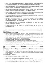 Summaries, Notes 'Original Curriculum Vitae for a Marketing Research Assistant/Analyst Position', 2.