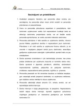 Term Papers 'Personāla piesaistīšana un atlase SIA "Elektriķis"', 97.