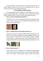 Research Papers 'Rakstības izcelšanās un attīstība: Senās Ēģiptes rakstība', 5.