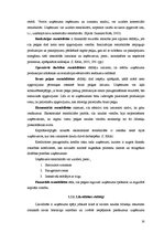 Term Papers 'Finanšu analīze SIA "Jēkabpils PMK"', 16.