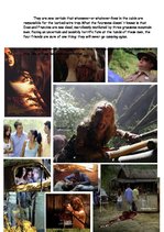 Essays 'Movie Report "Wrong Turn"', 2.