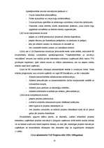 Term Papers 'Mazo un vidējo uzņēmumu kreditēšanas politika A/S "Latvijas Unibanka"', 20.