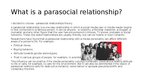 Presentations 'Parasocial relationships', 2.