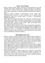 Research Papers 'Щенок', 5.