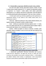 Term Papers 'Grāmatvedības organizācija uzņēmumā, pielietojot datorizētās grāmatvedības metod', 31.
