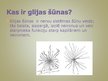 Presentations 'Jaunākie atklājumi glijas šūnas izpētē', 2.