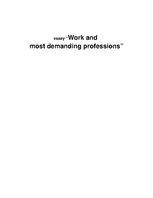 Essays 'Work and Most Demanding Professions', 1.