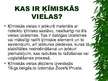 Presentations 'Ķīmiskas vielas kosmētikā', 2.pages