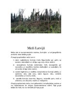 Presentations 'Latvijas meži un to problēmas', 10.