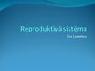 Presentations 'Reproduktīvā sistēma', 1.