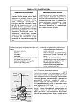 Research Papers 'Анатомия и физиология пищеварительной системы человека', 3.