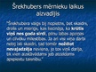 Presentations 'Šrekhubers un citi taisnības cīnītāji', 10.