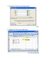 Samples 'Microsoft Excel finanšu funkcijas', 9.