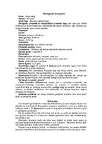 Summaries, Notes 'Bruņneši', 4.
