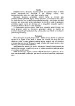 Summaries, Notes 'Bruņneši', 5.