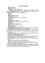 Summaries, Notes 'Bruņneši', 8.