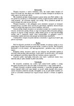 Summaries, Notes 'Bruņneši', 11.