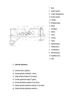 Summaries, Notes 'Būvmašīnu uzbūve un izmantošana', 5.