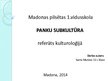 Presentations 'Panku subkultūra', 1.
