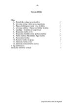 Research Papers 'Livonijas valsts iekārta un tiesībasXIII – XVI gadsimtā', 2.