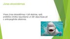 Presentations 'Ūdens ekosistēmu daudzveidība', 8.