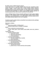 Samples 'Summatīvais pārbaudes darbs Ievads tiesību teorijā', 2.