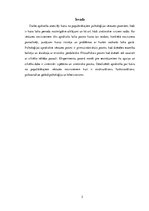 Research Papers 'Psiholoģijas vēstures aspekti un virzieni', 2.