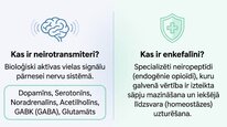 Presentations 'Enkefalīni', 2.