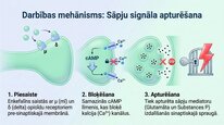Presentations 'Enkefalīni', 5.