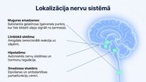 Presentations 'Enkefalīni', 7.