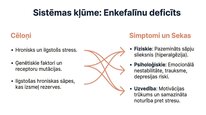 Presentations 'Enkefalīni', 8.