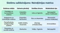 Presentations 'Enkefalīni', 12.