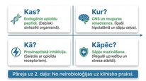 Presentations 'Enkefalīni', 13.