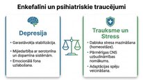 Presentations 'Enkefalīni', 14.
