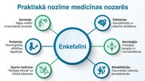Presentations 'Enkefalīni', 23.