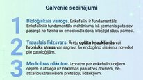 Presentations 'Enkefalīni', 25.