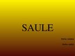 Presentations 'Saule', 1.