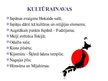 Presentations 'Japānas kultūras reģions', 7.