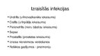 Presentations 'Proteus mirablis baktērija', 5.