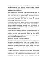 Essays 'Mūsdienu klimata un vides problēmas: izaicinājumi un risinājumi', 2.