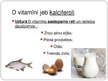 Presentations 'Prezentācija par D vitamīnu', 2.