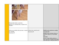 Summaries, Notes 'Portfolio - ideju mape ar SR 3. vecuma posmam', 9.