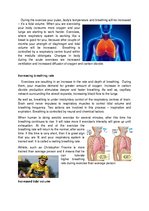 Presentations 'Response of the Energy Systems, Musculoskeletal System, Cardiovascular System an', 11.