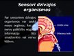 Presentations 'Sensori', 4.