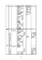 Research Papers 'Word Formation of the English Language', 36.