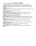 Samples 'Meteņu svētku scenārijs', 5.
