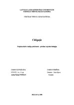 Research Papers 'Cūkgaļa', 1.